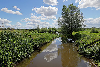 BUITEN BEELD Foto: 406788