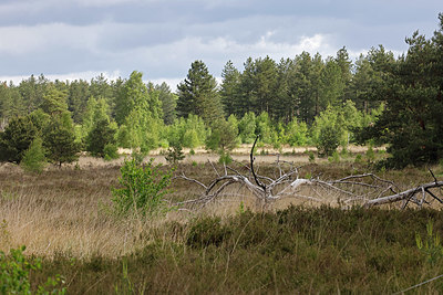 BUITEN BEELD Foto: 406799