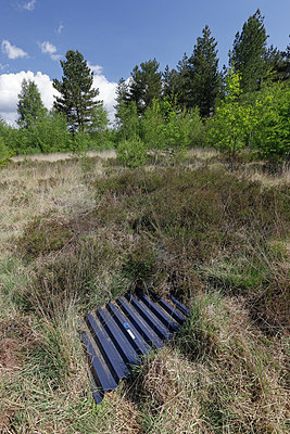 BUITEN BEELD Foto: 406823