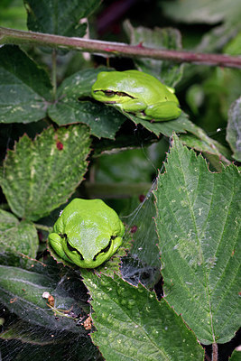 BUITEN BEELD Foto: 406940