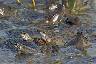 BUITEN BEELD Foto: 406941