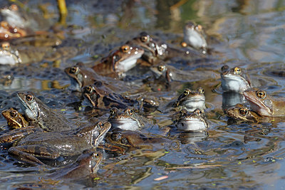 BUITEN BEELD Foto: 406958