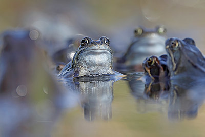 BUITEN BEELD Foto: 407064