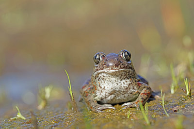 BUITEN BEELD Foto: 407103