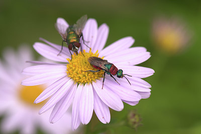 BUITEN BEELD Foto: 407137