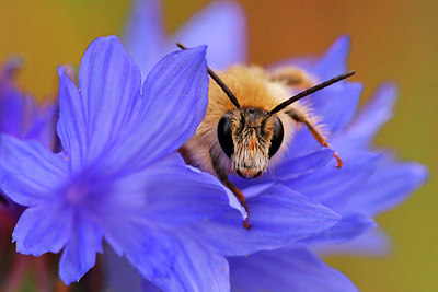 BUITEN BEELD Foto: 407233