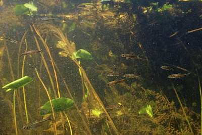 BUITEN BEELD Foto: 407294