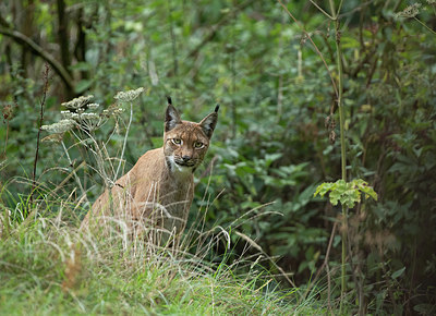 BUITEN BEELD Foto: 407421