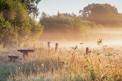 BUITEN BEELD Foto: 407469