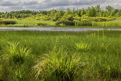 BUITEN BEELD Foto: 407472