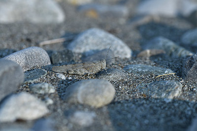 BUITEN BEELD Foto: 408041