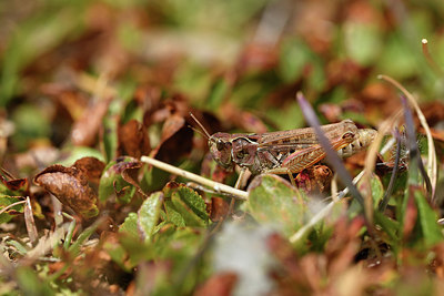 BUITEN BEELD Foto: 408189