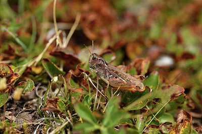 BUITEN BEELD Foto: 408191