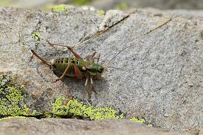 BUITEN BEELD Foto: 408208