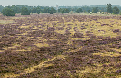 BUITEN BEELD Foto: 408382
