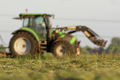 BUITEN BEELD Foto: 408468