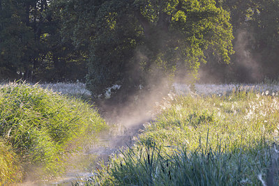BUITEN BEELD Foto: 408494