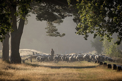 BUITEN BEELD Foto: 408502