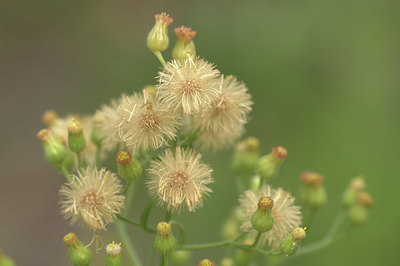BUITEN BEELD Foto: 408515