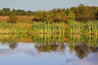 BUITEN BEELD Foto: 408542