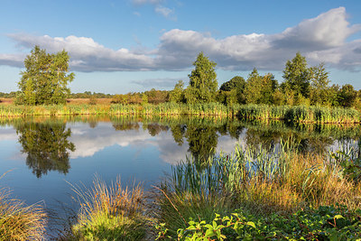 BUITEN BEELD Foto: 408543