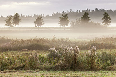 BUITEN BEELD Foto: 408544