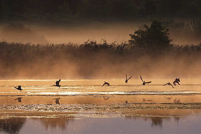 BUITEN BEELD Foto: 408557