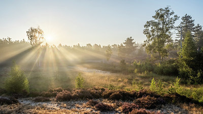 BUITEN BEELD Foto: 408696