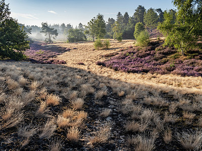 BUITEN BEELD Foto: 408699