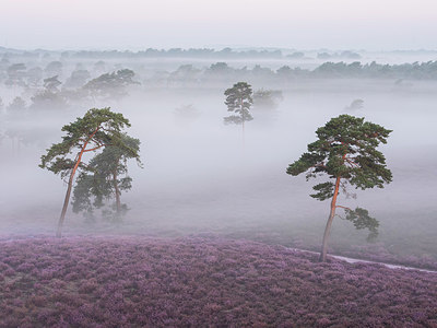 BUITEN BEELD Foto: 408732