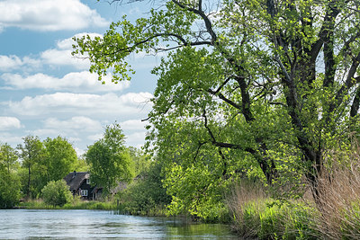 BUITEN BEELD Foto: 408741