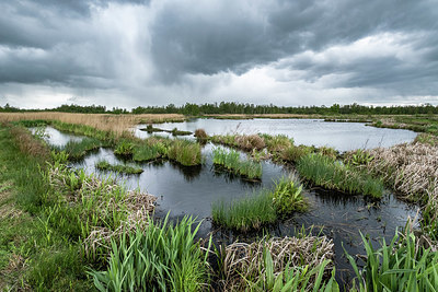 BUITEN BEELD Foto: 408742