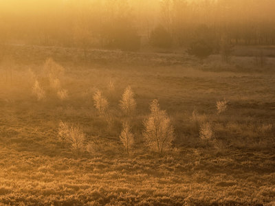 BUITEN BEELD Foto: 408755