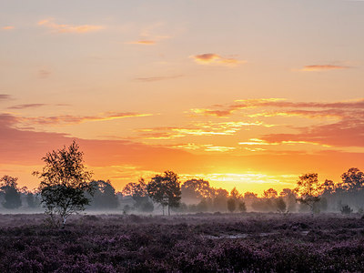 BUITEN BEELD Foto: 408757