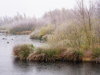 BUITEN BEELD Foto: 408760