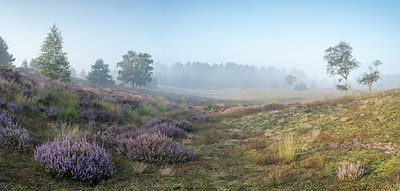 BUITEN BEELD Foto: 408807