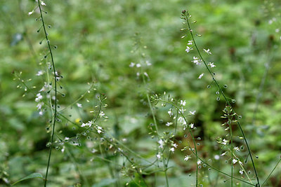 BUITEN BEELD Foto: 408833