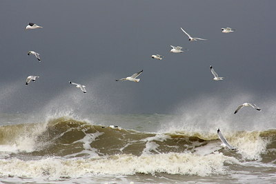BUITEN BEELD Foto: 40026