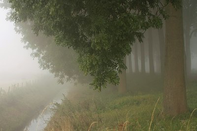 BUITEN BEELD Foto: 40035
