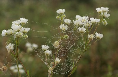 BUITEN BEELD Foto: 40055