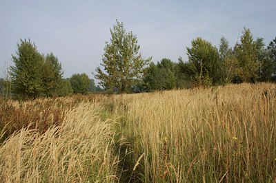 BUITEN BEELD Foto: 40058