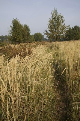 BUITEN BEELD Foto: 40059