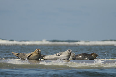 BUITEN BEELD Foto: 40077