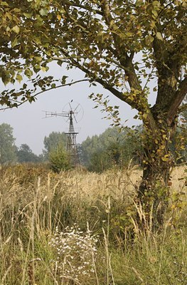 BUITEN BEELD Foto: 40085
