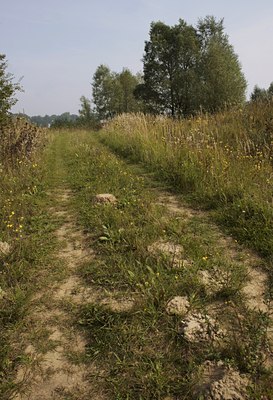 BUITEN BEELD Foto: 40088
