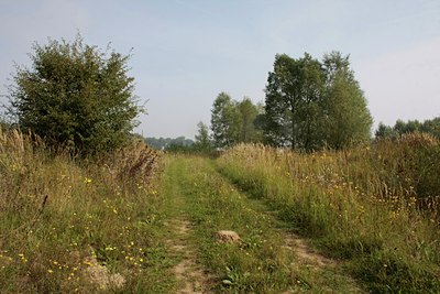 BUITEN BEELD Foto: 40089