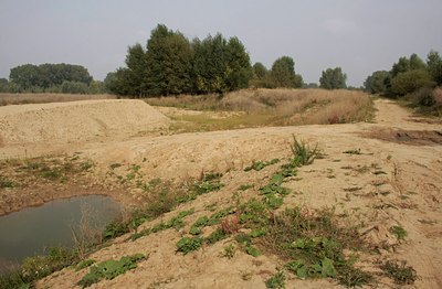 BUITEN BEELD Foto: 40091