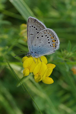 BUITEN BEELD Foto: 40092