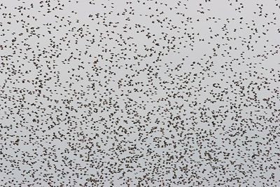 BUITEN BEELD Foto: 40204