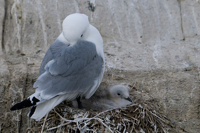 BUITEN BEELD Foto: 40265